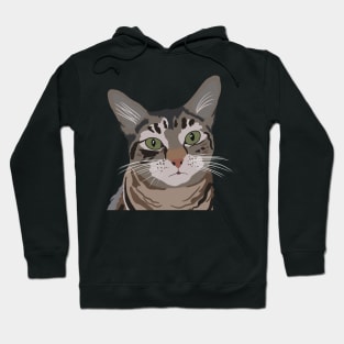 Tabby Cat Portrait Hoodie